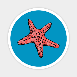 Starfish Magnet